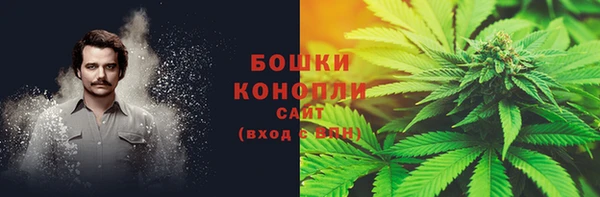 стафф Билибино