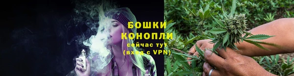 стафф Билибино