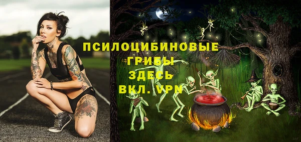индика Нязепетровск