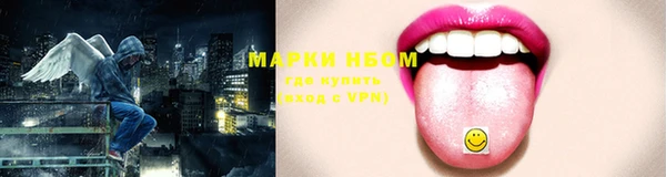 шишки Нягань