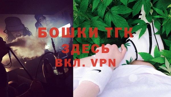 шишки Нягань