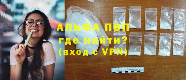 индика Нязепетровск