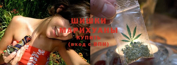 PSILOCYBIN Татарск