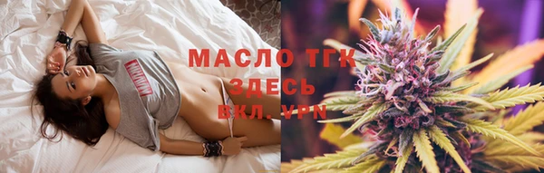 индика Нязепетровск