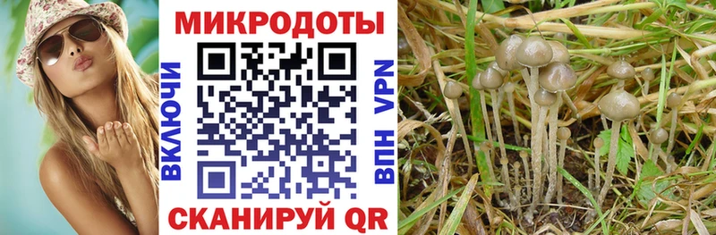 Псилоцибиновые грибы мухоморы  наркота  Апрелевка 