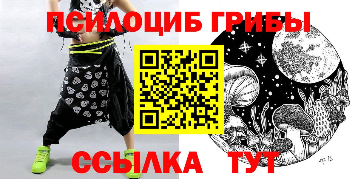 Галлюциногенные грибы Psilocybe Апрелевка