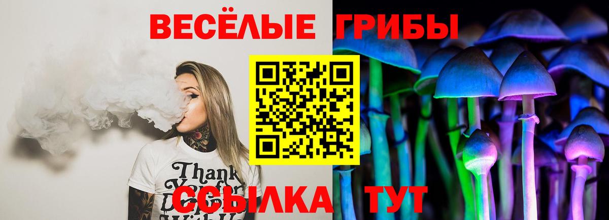 наркотики  Апрелевка  Галлюциногенные грибы Cubensis 