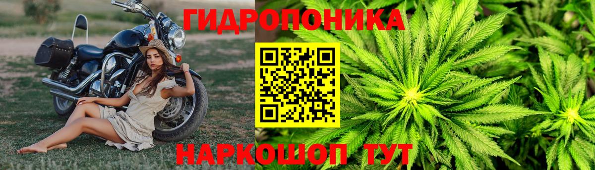 Бошки Шишки план  Конопля марихуана  Апрелевка  МАРИХУАНА OG Kush 